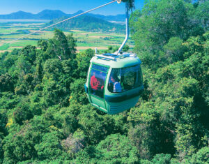 Skyrail Rainforest Cableway