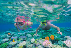 Snorkeling Great Barrier Reef