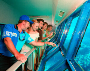 Underwater Viewing Great Barrier Reef